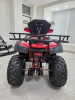 Квадроцикл Rmoto Lion 200 LITE