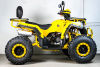 Квадроцикл SPRMOTORS ATV Blade- 200V