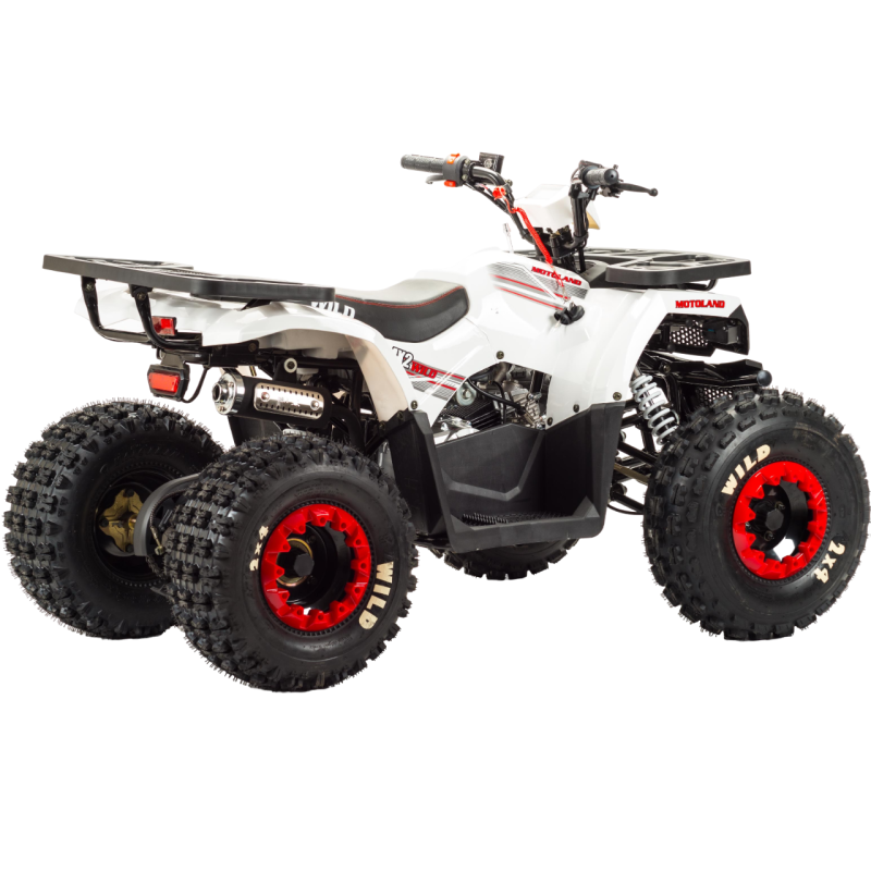 Квадроцикл Motoland WILD 125 