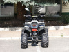 Квадроцикл Rmoto Lion 125 AА