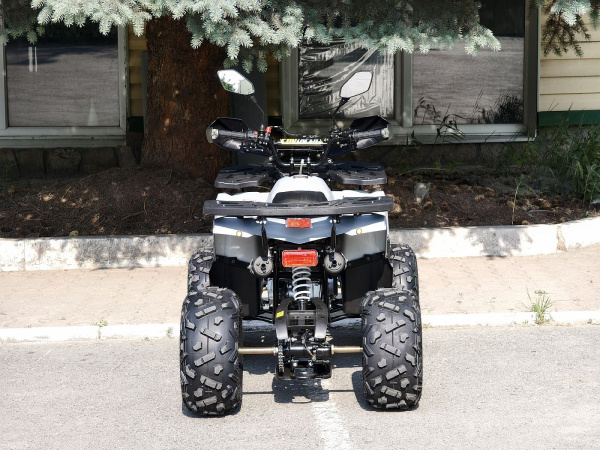 Квадроцикл Rmoto Lion 125 AА