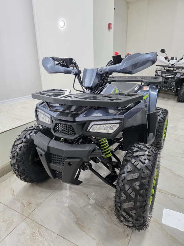 Квадроцикл Motoland WILD 125 