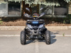 Квадроцикл Rmoto Lion 125 СС