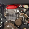 Мотоцикл Regulmoto Holeshot Red Edition (4 valves) ПТС