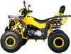 Квадроцикл SPRMOTORS ATV Extreme- 250DQ