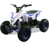 Детский электро квадроцикл MOTAX GEKKON 1300W