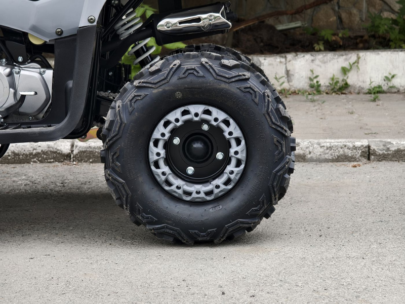 Квадроцикл Rmoto Lion 125 RR