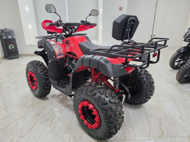 Квадроцикл Rmoto Lion 200 LITE