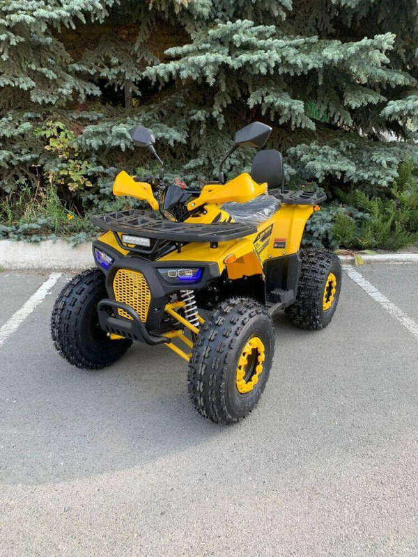 Квадроцикл Rmoto Lion 125 AR