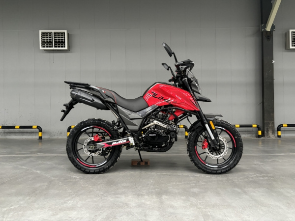 Мотоцикл Regulmoto DUKE 300 PRO