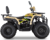 Квадроцикл BRZ Dune 200 
