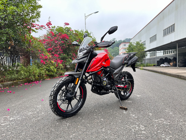 Мотоцикл Regulmoto DUKE 300 PRO