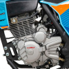 Мотоцикл Кросс Moto Apollo F3 300 (175FMM)