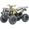 Квадроцикл Motoland ADVENTURE 250
