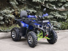 Квадроцикл Rmoto Lion 200 X PRO