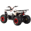 Квадроцикл Motoland WILD 125 