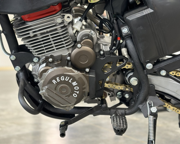 Мотоцикл Regulmoto Sport-003 PR PRO 300 сс (4 valves) 5 передач