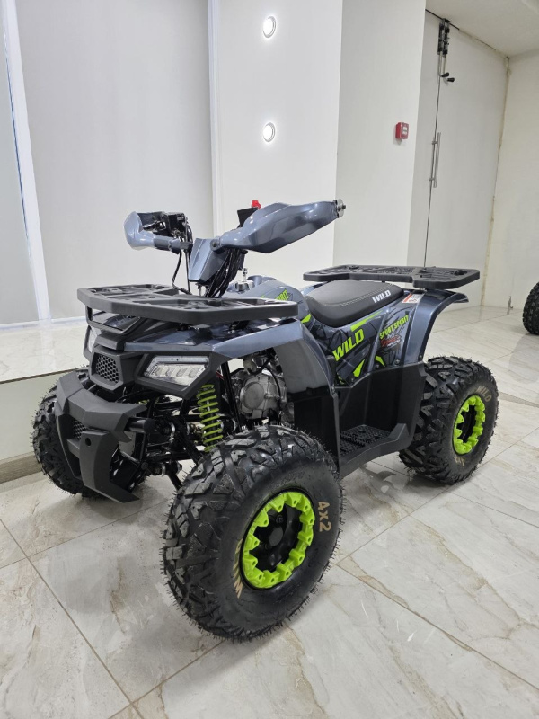Квадроцикл Motoland WILD 125 