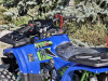 Квадроцикл Rmoto Lion 125 A