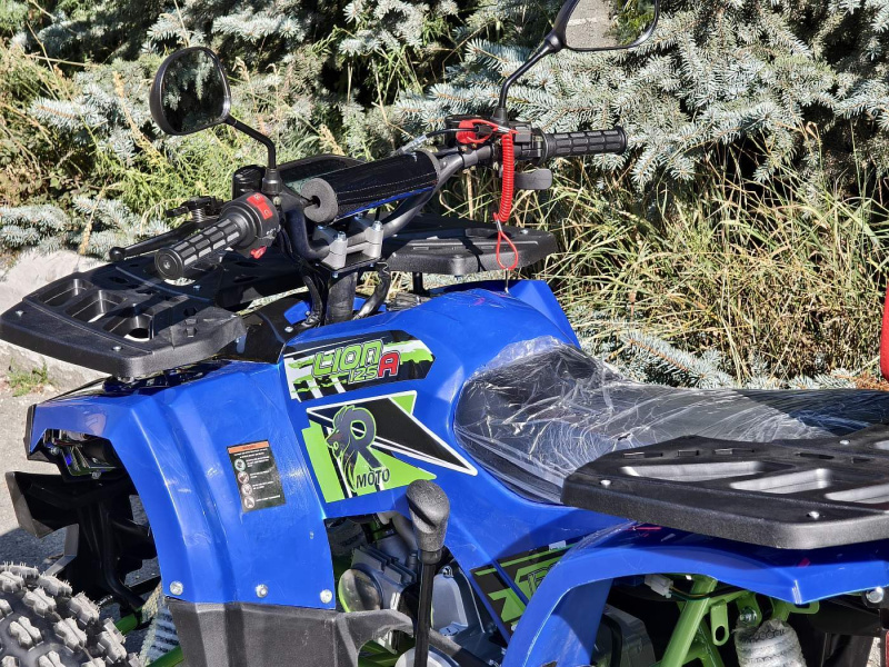 Квадроцикл Rmoto Lion 125 A