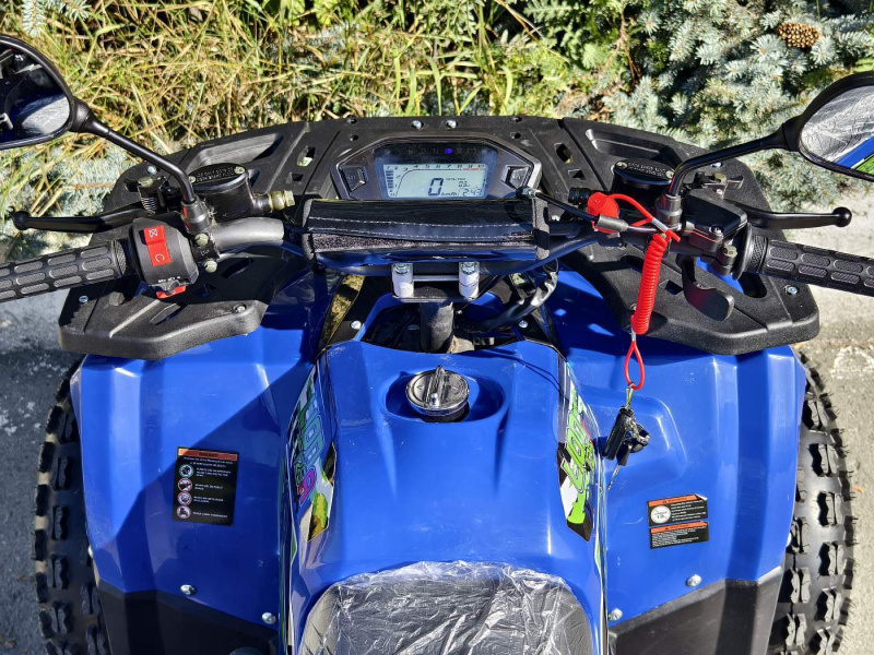 Квадроцикл Rmoto Lion 125 A