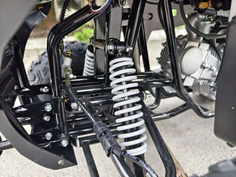 Квадроцикл Rmoto Lion 125 RR