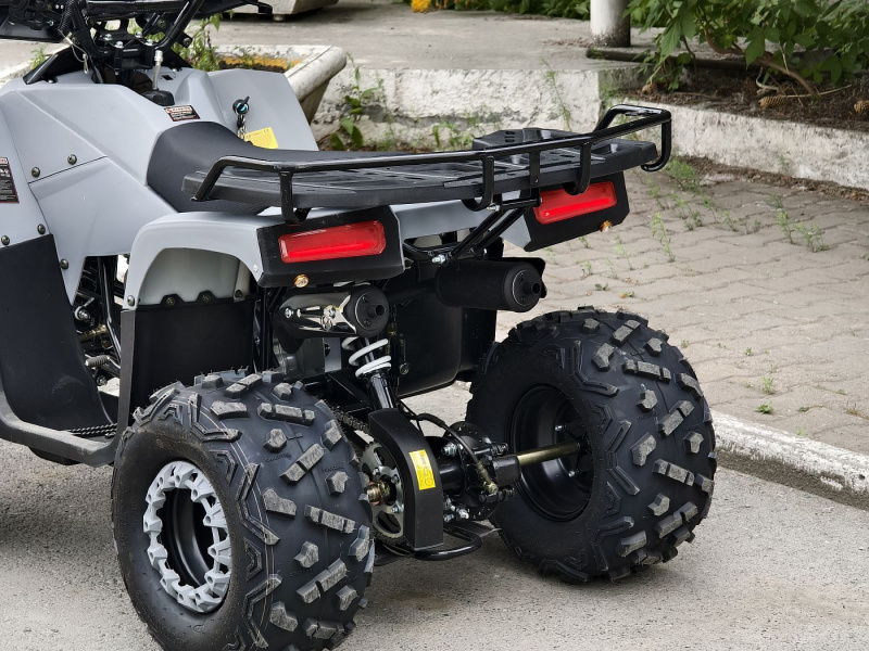 Квадроцикл Rmoto Lion 125 RR
