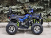 Квадроцикл Rmoto Lion 200 X PRO