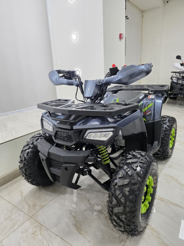 Квадроцикл Motoland WILD 125 