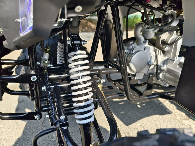 Квадроцикл Rmoto Lion 125 AА