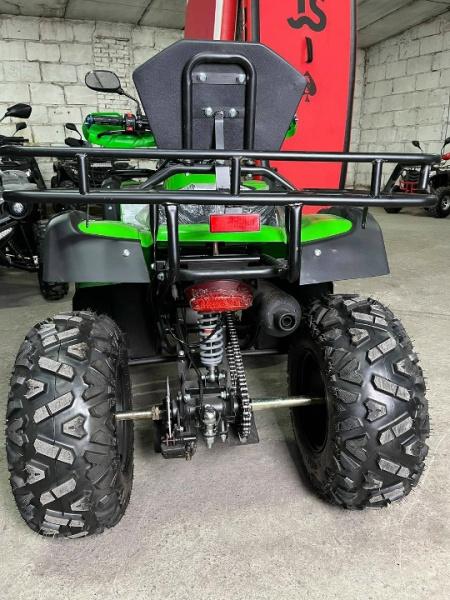 Квадроцикл Rmoto Lion 200 LITE