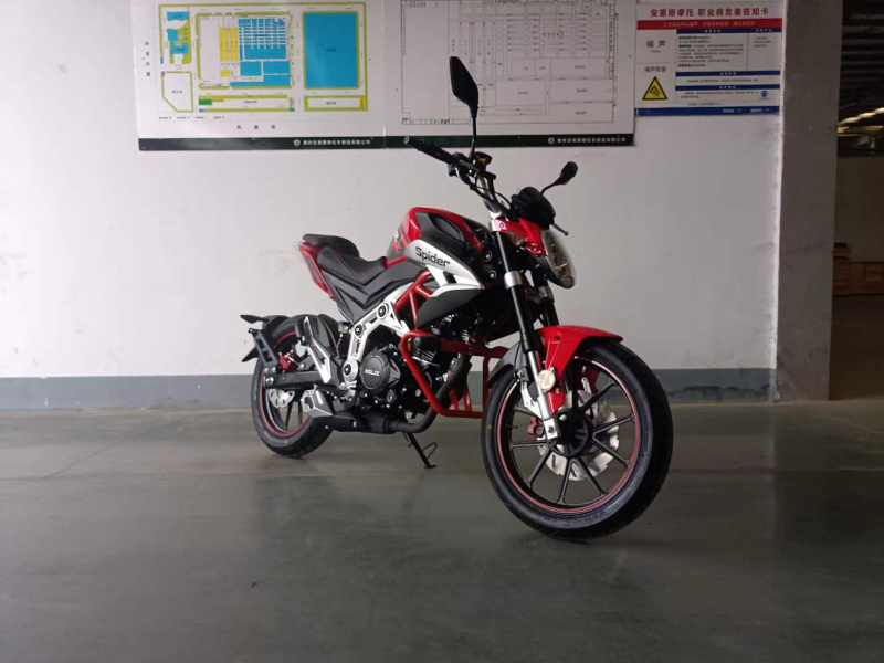 Мотоцикл ROLIZ SPIDER YS166FMM 250cc с ПТС