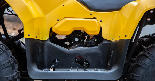 Квадроцикл IRBIS ATV250 PREMIUM 