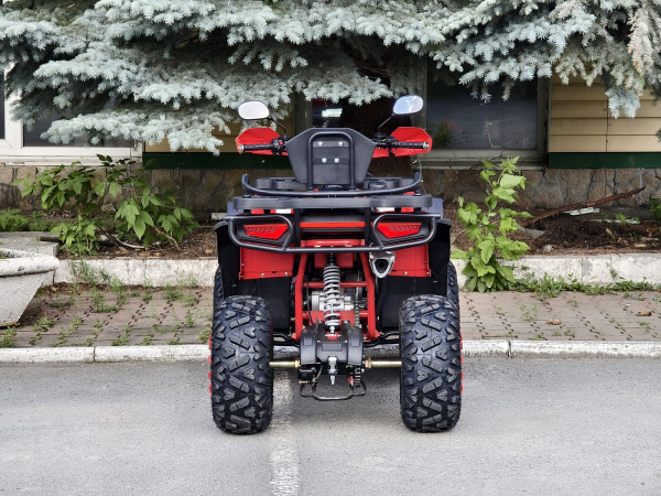 Квадроцикл Rmoto Lion 200 X