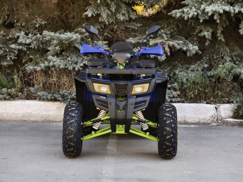 Квадроцикл Rmoto Lion 200 А