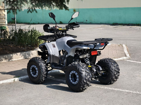 Квадроцикл Rmoto Lion 125 AА