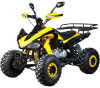 Квадроцикл SPRMOTORS ATV Grizzly PRO- 150M
