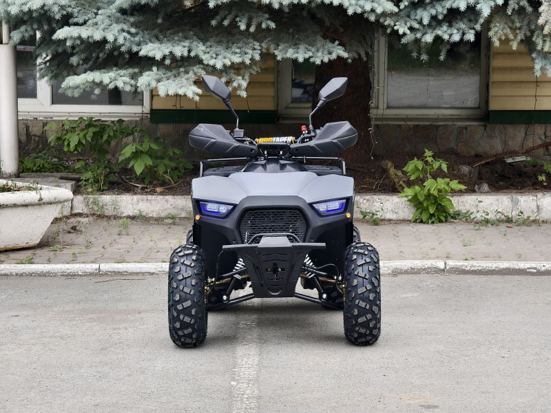 Квадроцикл Rmoto Lion 125 RR