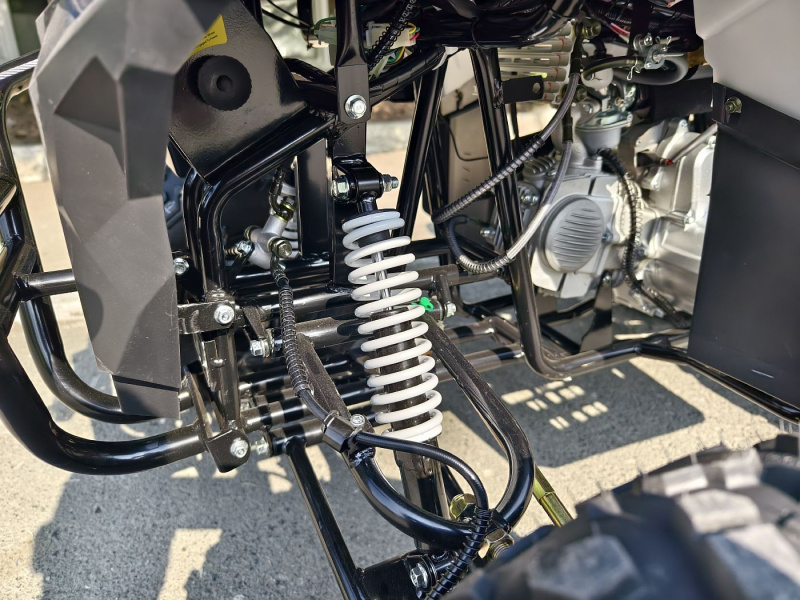 Квадроцикл Rmoto Lion 130 RR