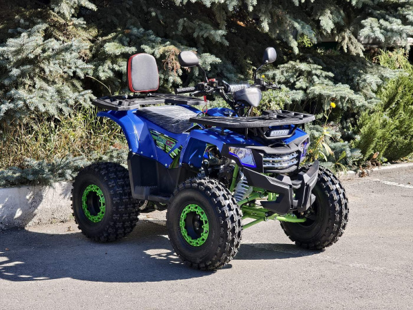 Квадроцикл Rmoto Lion 125 A