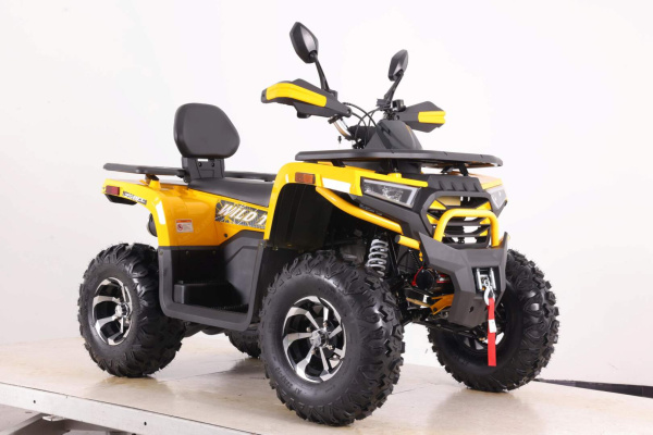 Квадроцикл Motoland  VOX250 WILD TRACK X PLUS