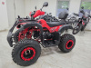 Квадроцикл Rmoto Lion 200 LITE