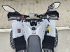 Квадроцикл Rmoto Lion 125 RR
