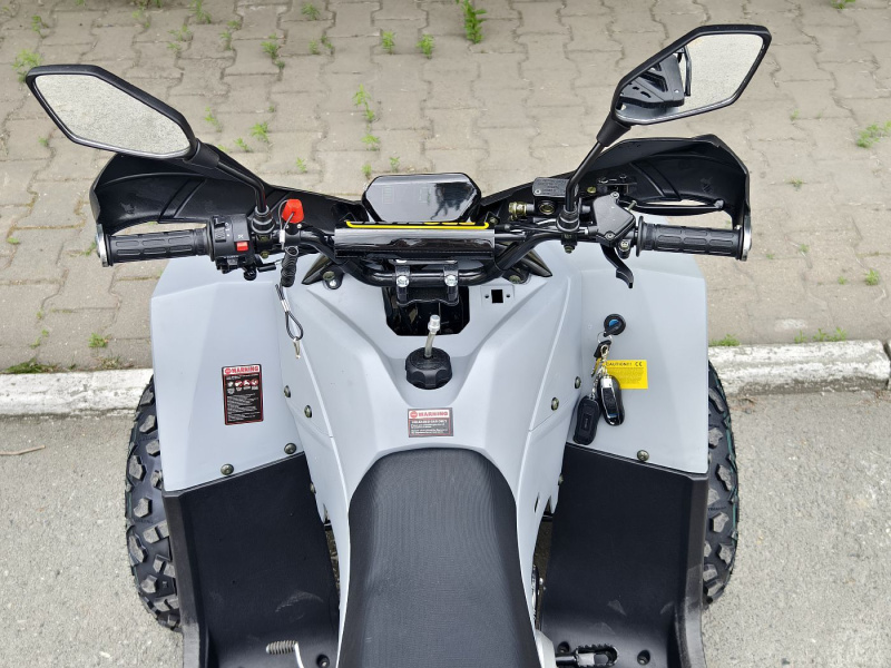 Квадроцикл Rmoto Lion 125 RR