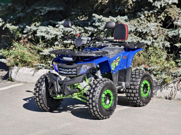 Квадроцикл Rmoto Lion 125 A