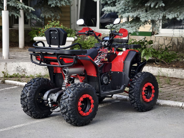 Квадроцикл Rmoto Lion 200 X
