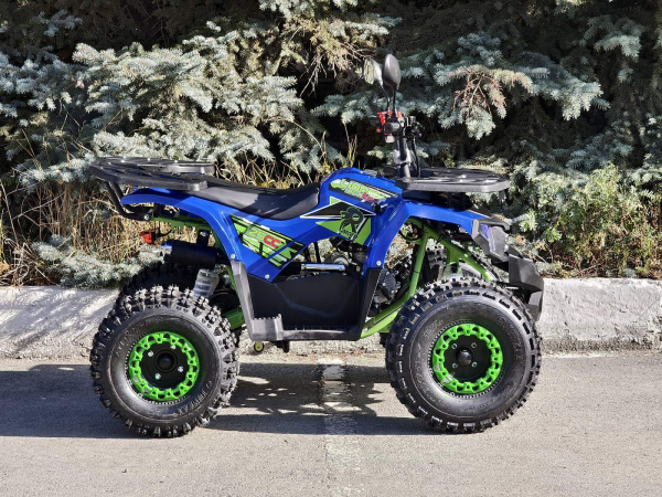 Квадроцикл Rmoto Lion 125 A LITE