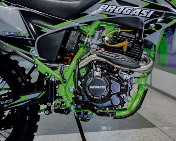Мотоцикл Progasi PALMA 300 (ZS-175 FMM -CB300F)