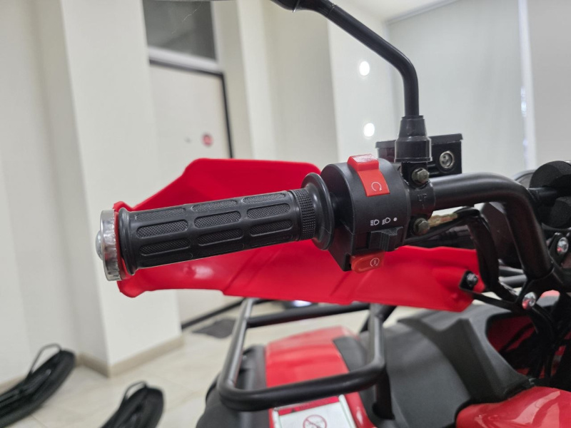 Квадроцикл Rmoto Lion 200 LITE