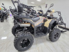 Квадроцикл Rmoto Lion 200 X PRO